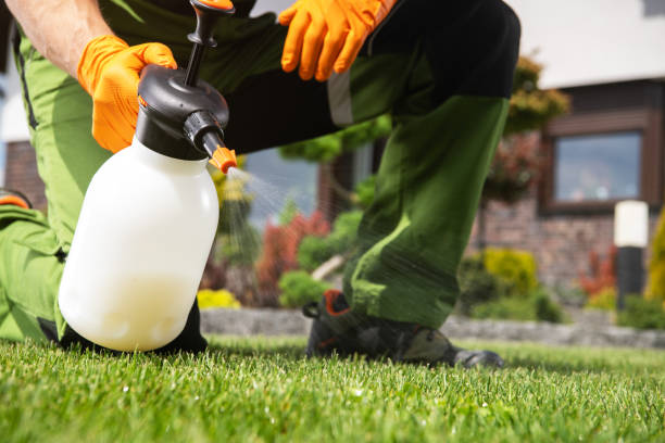 Best Pest Inspection Near Me  in Cabin John, MD