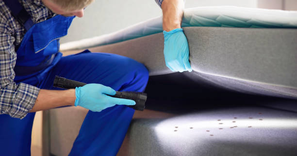 Best Commercial Pest Control Services  in Cabin John, MD