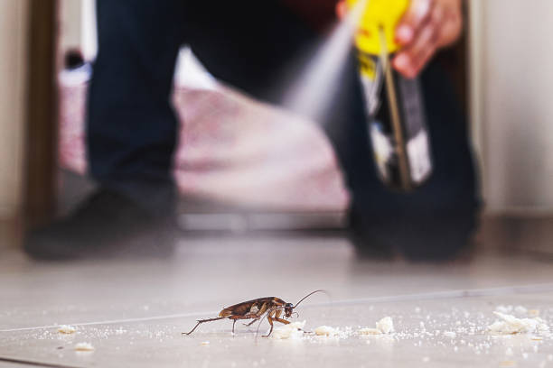Best Mosquito Control Services  in Cabin John, MD