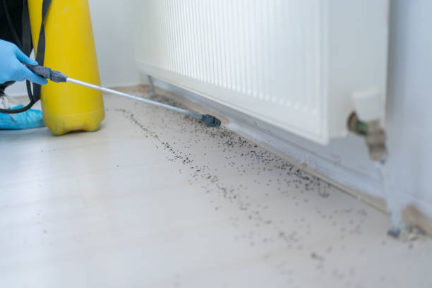 Best Residential Pest Control  in Cabin John, MD