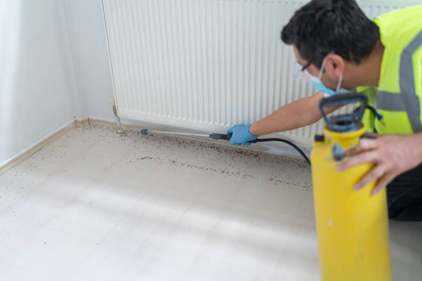 Best Pest Prevention Services  in Cabin John, MD