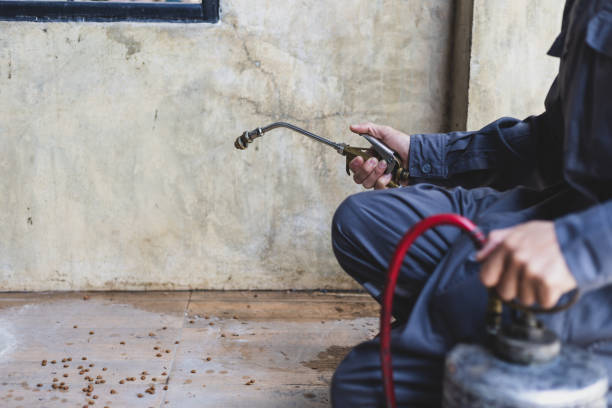 Best Local Pest Control Services  in Cabin John, MD